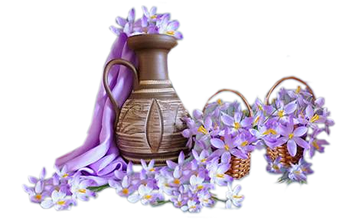 Цветы PNG