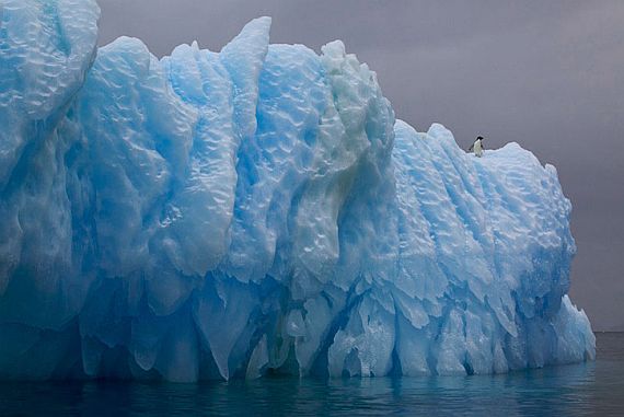 льды антарктики